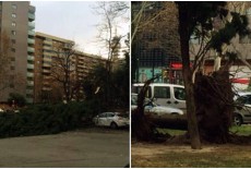 Fuertes rachas de Viento y Lluvia en Zaragoza